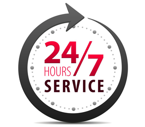 Web Feb supports webdevelopment for 24/7 services