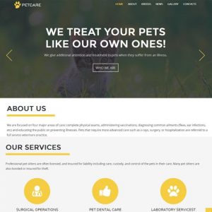 Pet Care Website Designing in Bangalore
