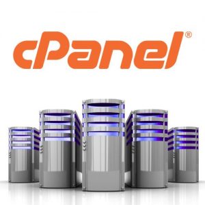 Web Hosting with C-panel Providers in Bangalore