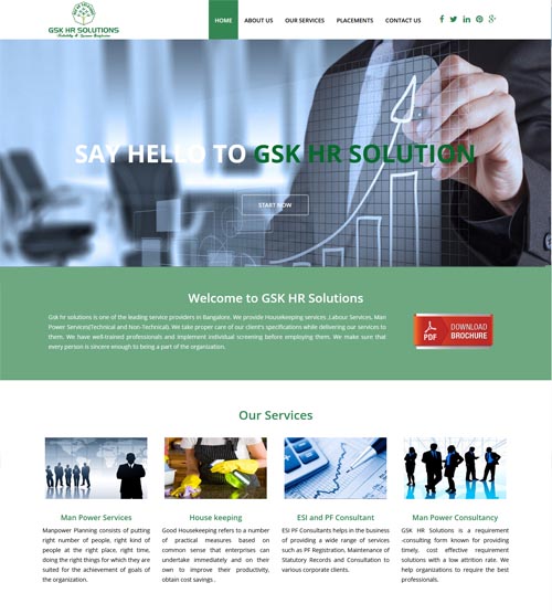 Website Designing for Consultancy - GSK HR Solution